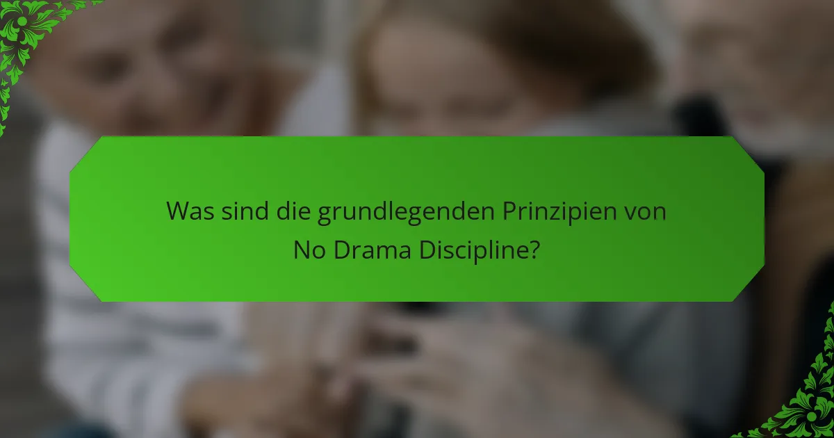 Was sind die grundlegenden Prinzipien von No Drama Discipline?