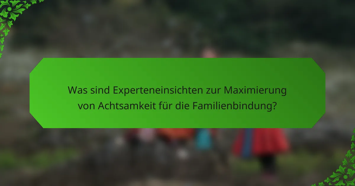 Was sind Experteneinsichten zur Maximierung von Achtsamkeit für die Familienbindung?
